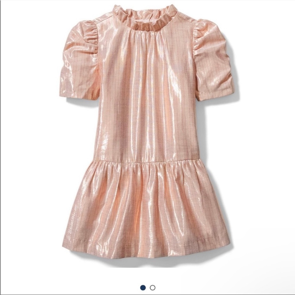 NWOT Janie and Jack Shimmery Blush Pink Puff Sleeve Drop-Waist Dress